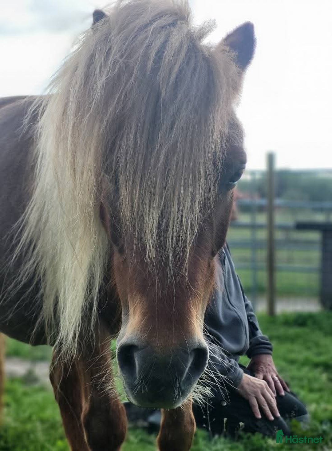 Galleribild {{count}}