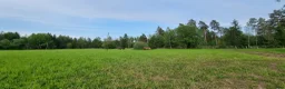  stallplats finnes: Hingstbete - Annons 6