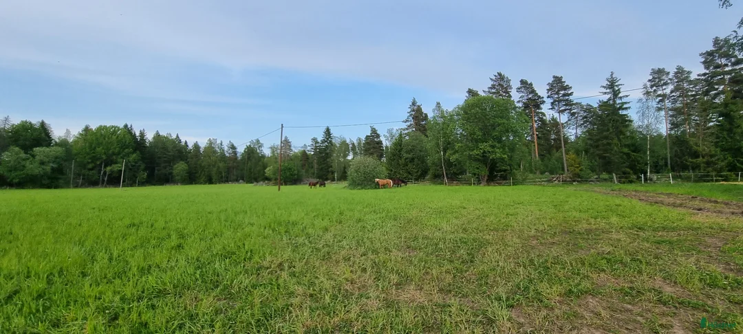  stallplats finnes: Hingstbete - Annons 6