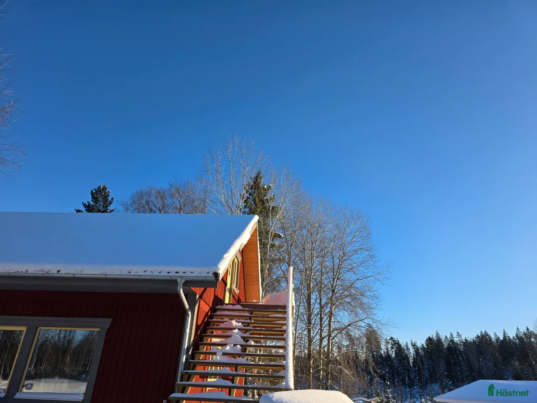  stallplats finnes: Lägenhet med stallplats - Annons 5