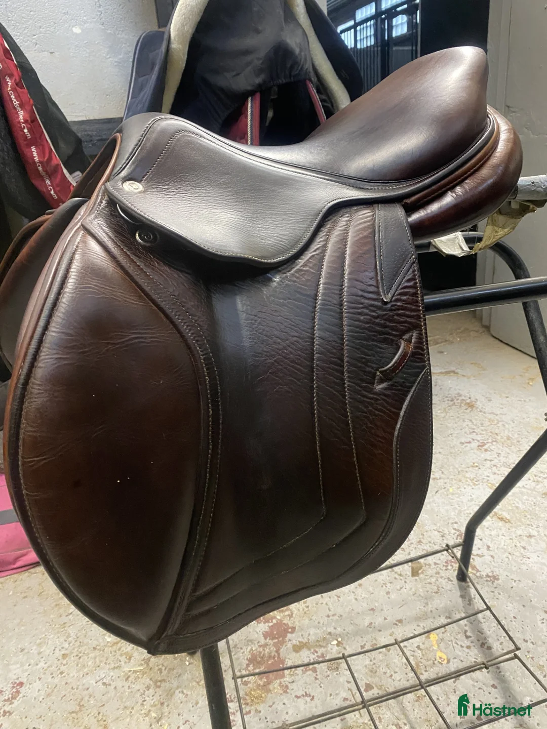 Sadlar hästutrustning till salu: Bekväm CWD SE01 hoppsadel 17 tum 2L - Annons 2