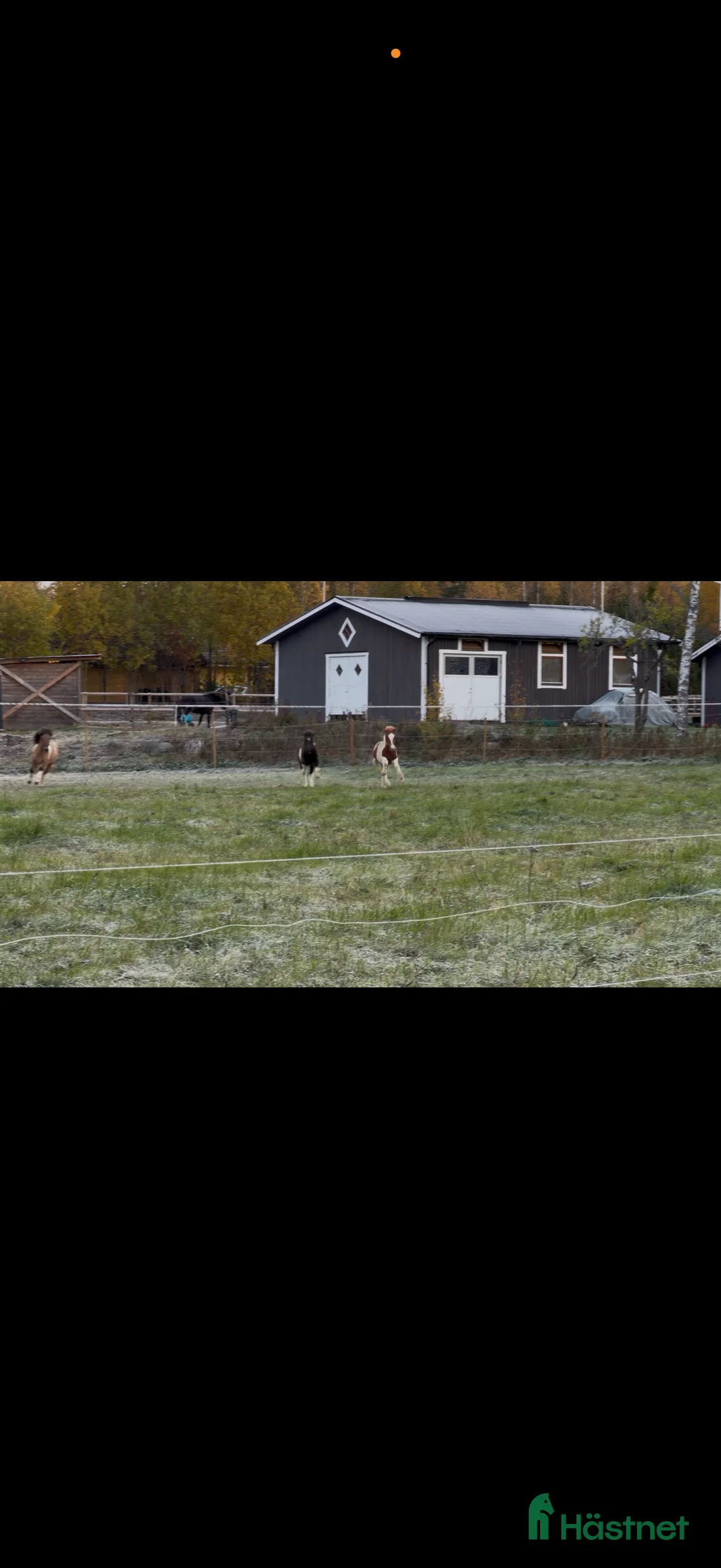 Galleribild {{count}}