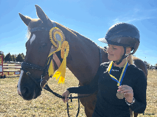 hästar Underbar fräsch läomästare i Lund - Annons 15
