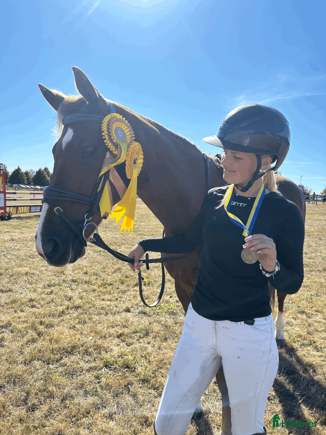 Fälttävlan hästar till salu: Underbar fräsch läomästare  - Annons 1