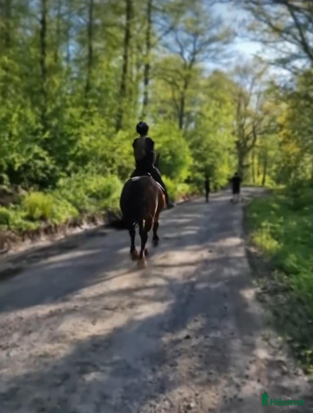  stallplats finnes: Stallplats i Jönköping - Annons 3