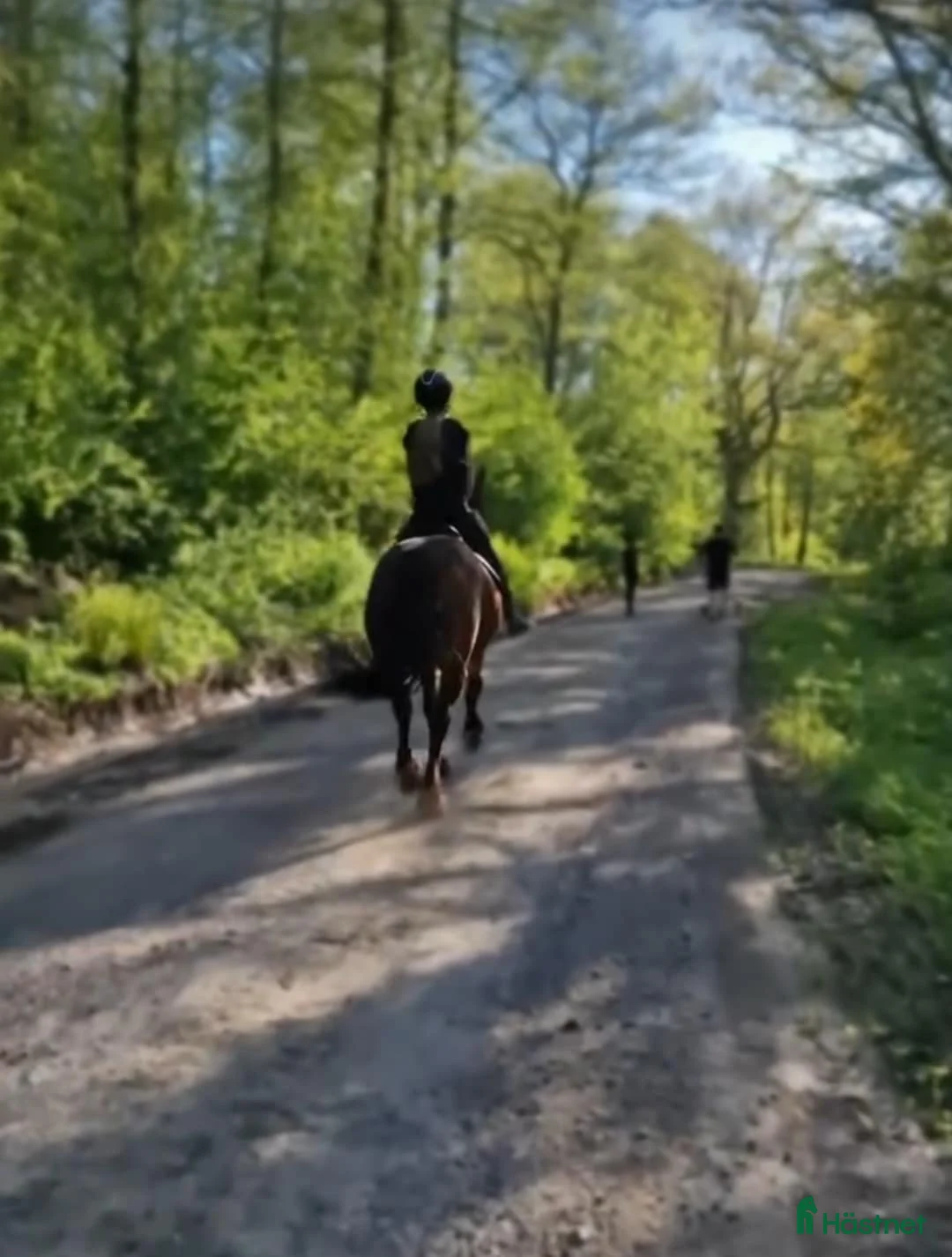  stallplats finnes: Stallplats i Jönköping - Annons 3