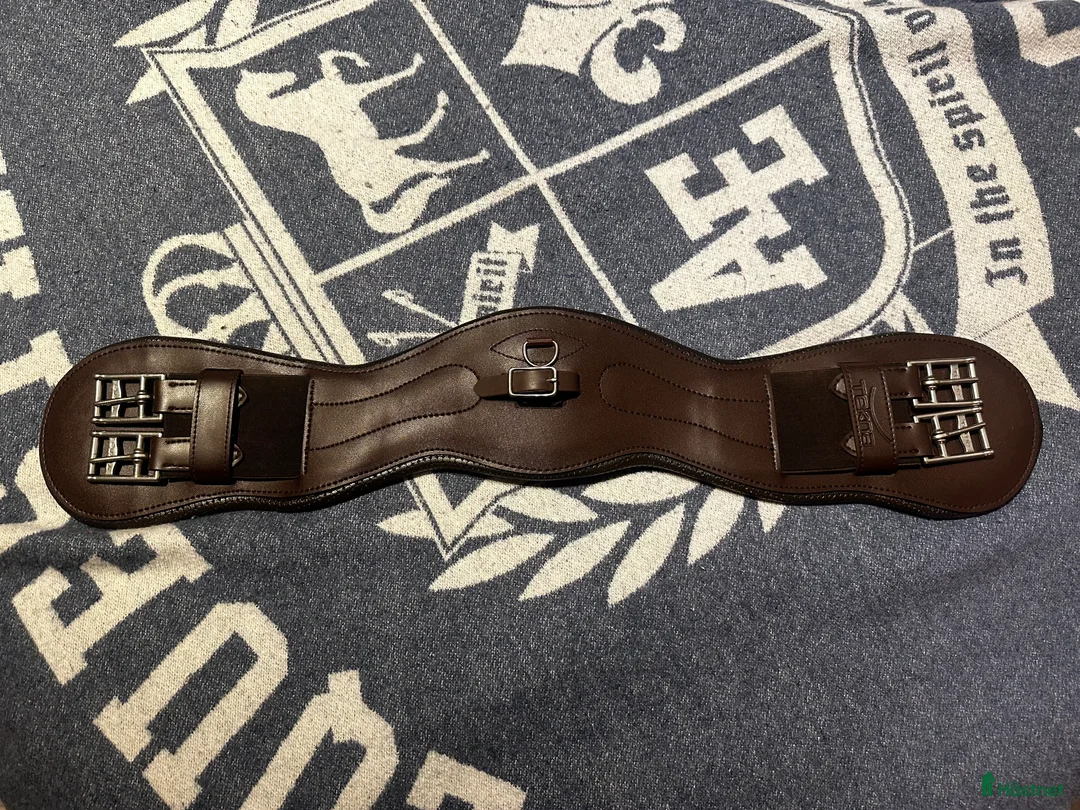 Sadeltillbehör hästutrustning till salu: Dressyrgjord Tekna i Sigtuna - Annons 1