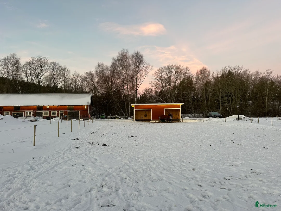  stallplats finnes: Stall uthyres!  i Huddinge - Annons 5