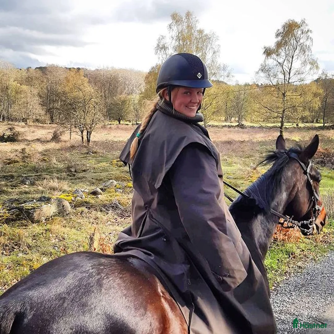 Galleribild {{count}}