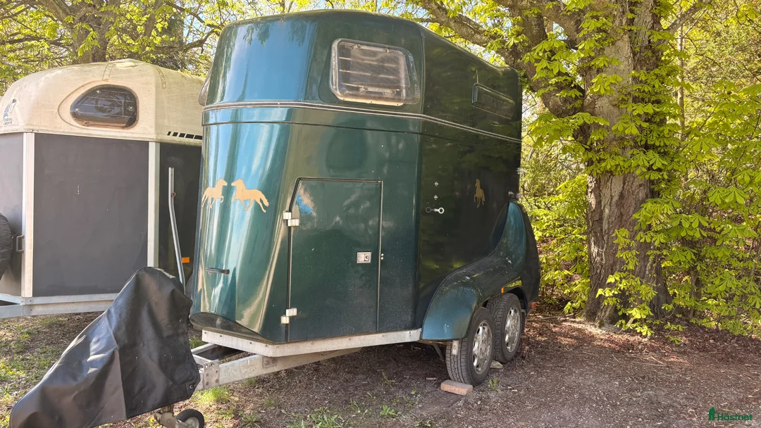 Hästtransporter  fordon & transport till salu: Böckmann  - Annons 1