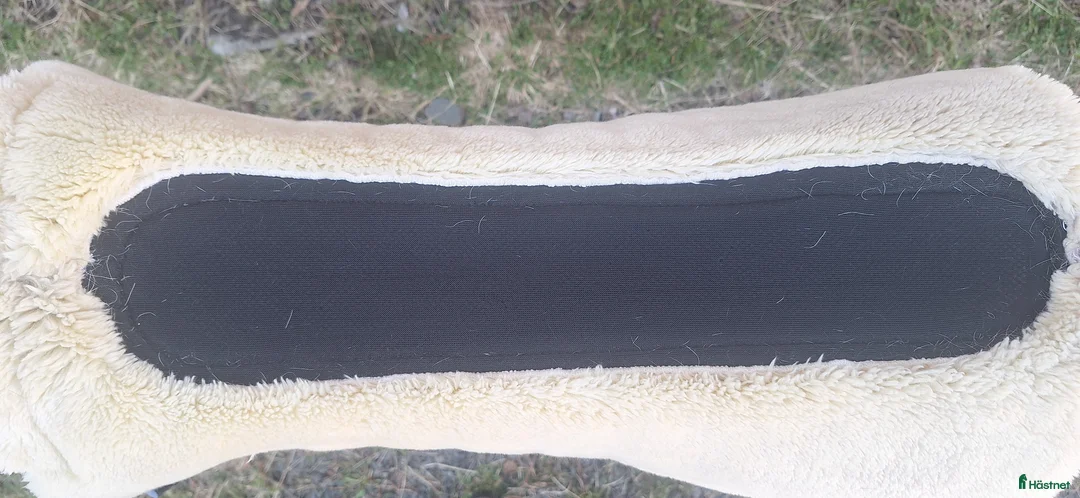 Schabrak & Vojlockar hästutrustning till salu: Catago Equestrian schabrak  - Annons 4