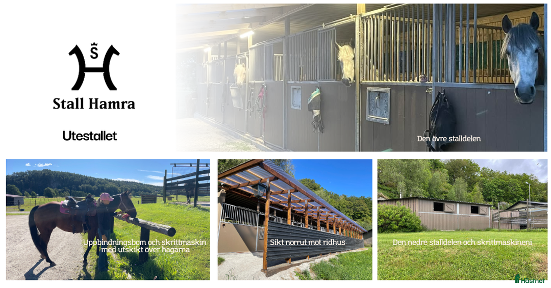 stallplats finnes: Stallplats med ridhus i Stenungsund i Ucklum - Annons 1