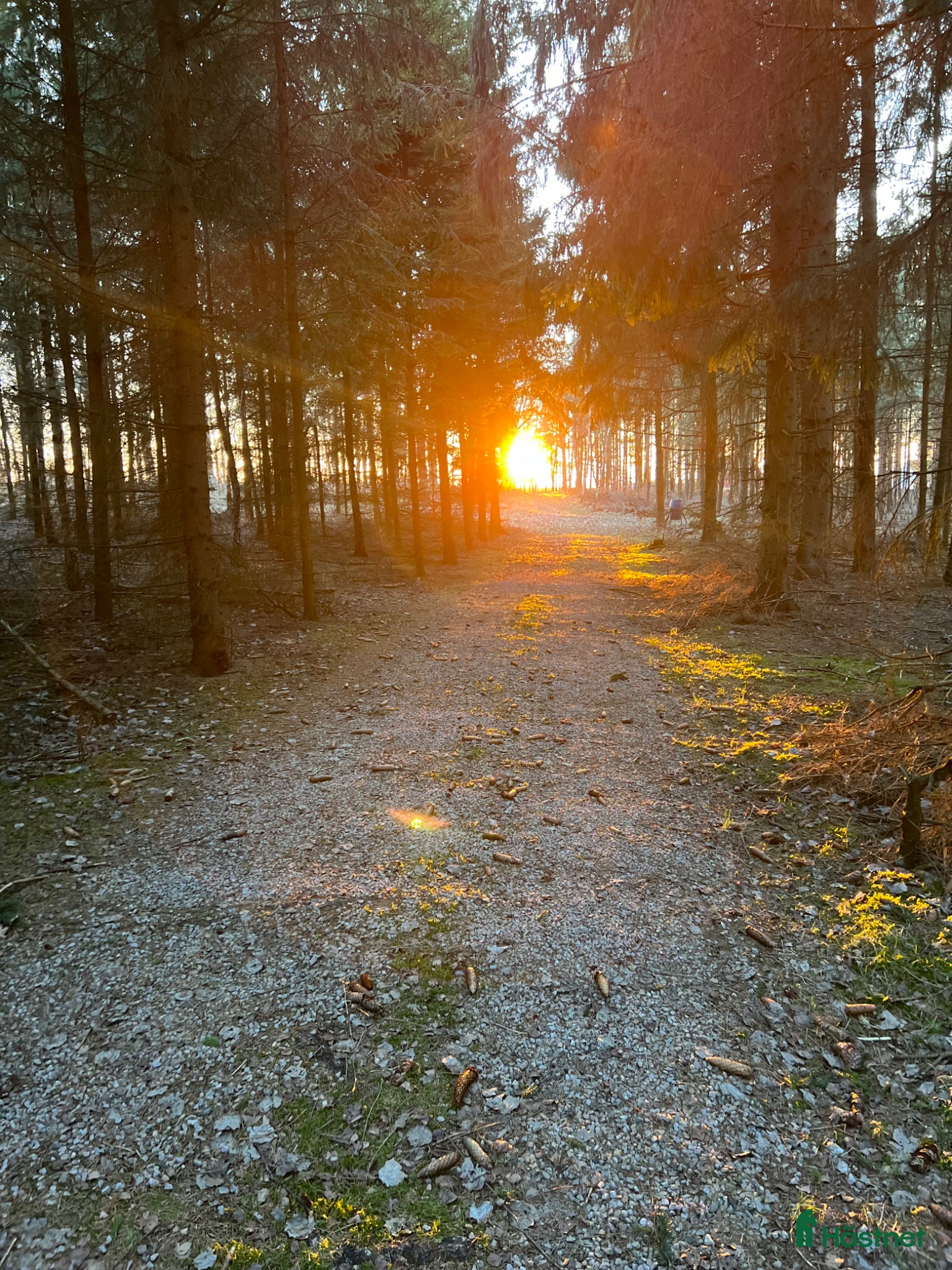  stallplats Lediga boxplatser i lugnt stall - Annons 3
