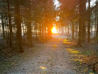 stallplats Lediga boxplatser i lugnt stall - Annons 15