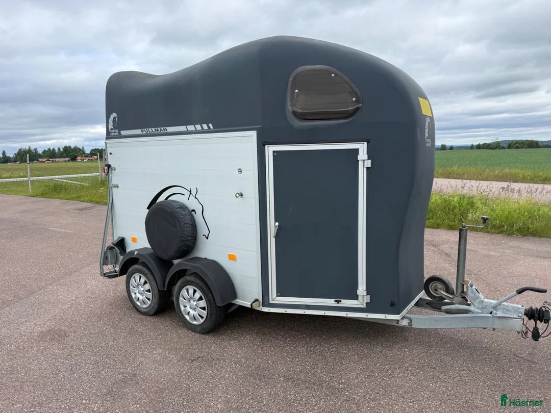 Hästtransporter  fordon & transport till salu: Chval Gold2 -14 - Annons 2