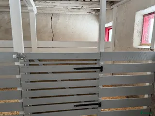 hästservice Inridning/försäljning/hästhotell i Köping - Annons 11