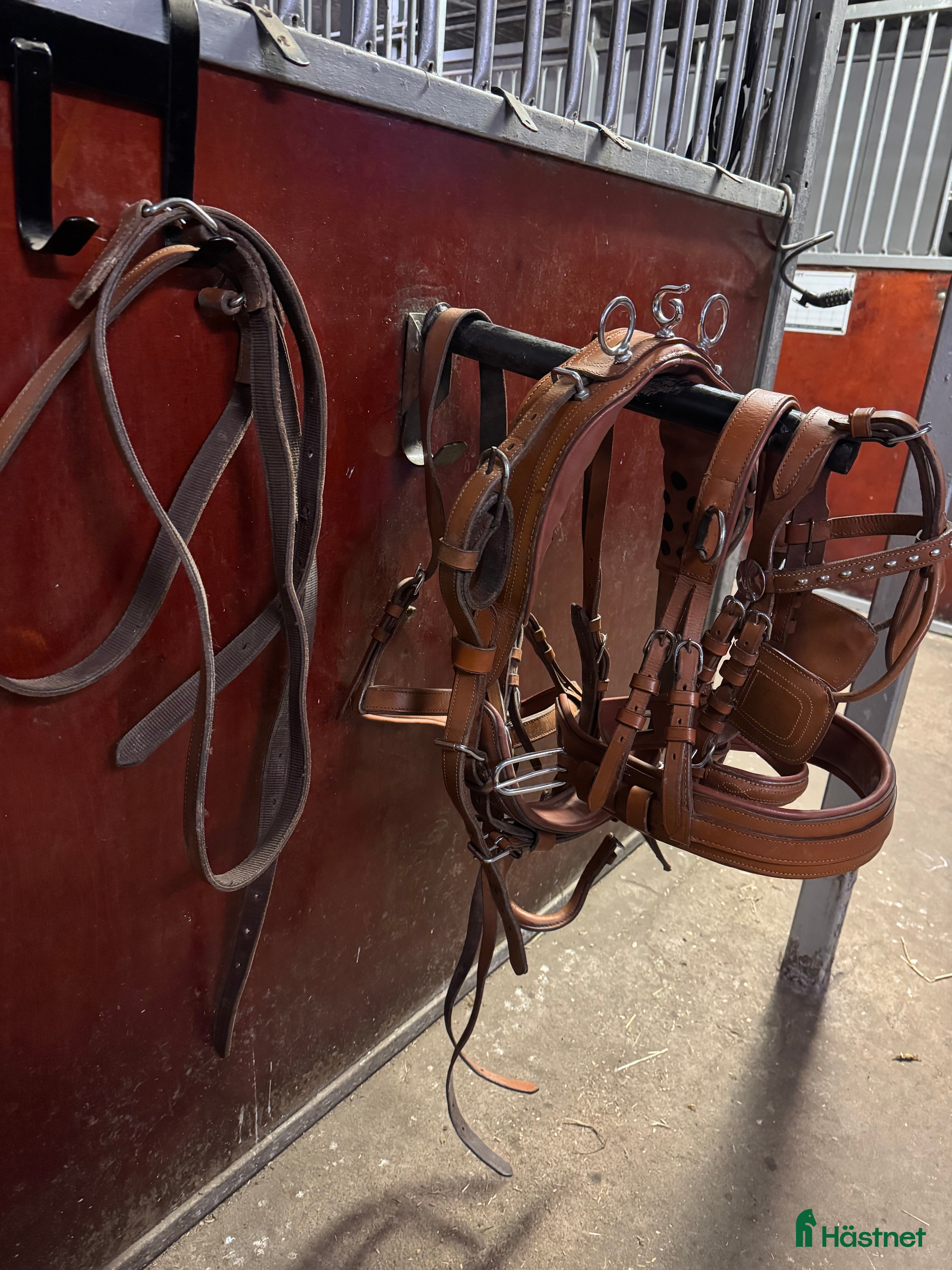 Körselar körning till salu: Komplett körsele till Shetland  i Harlösa - Annons 1