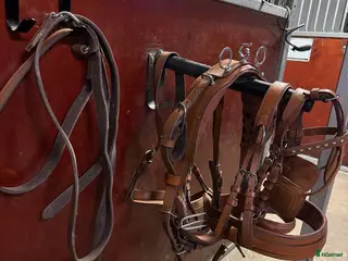 Körselar körning till salu: Komplett körsele till Shetland i Harlösa - Annons 4