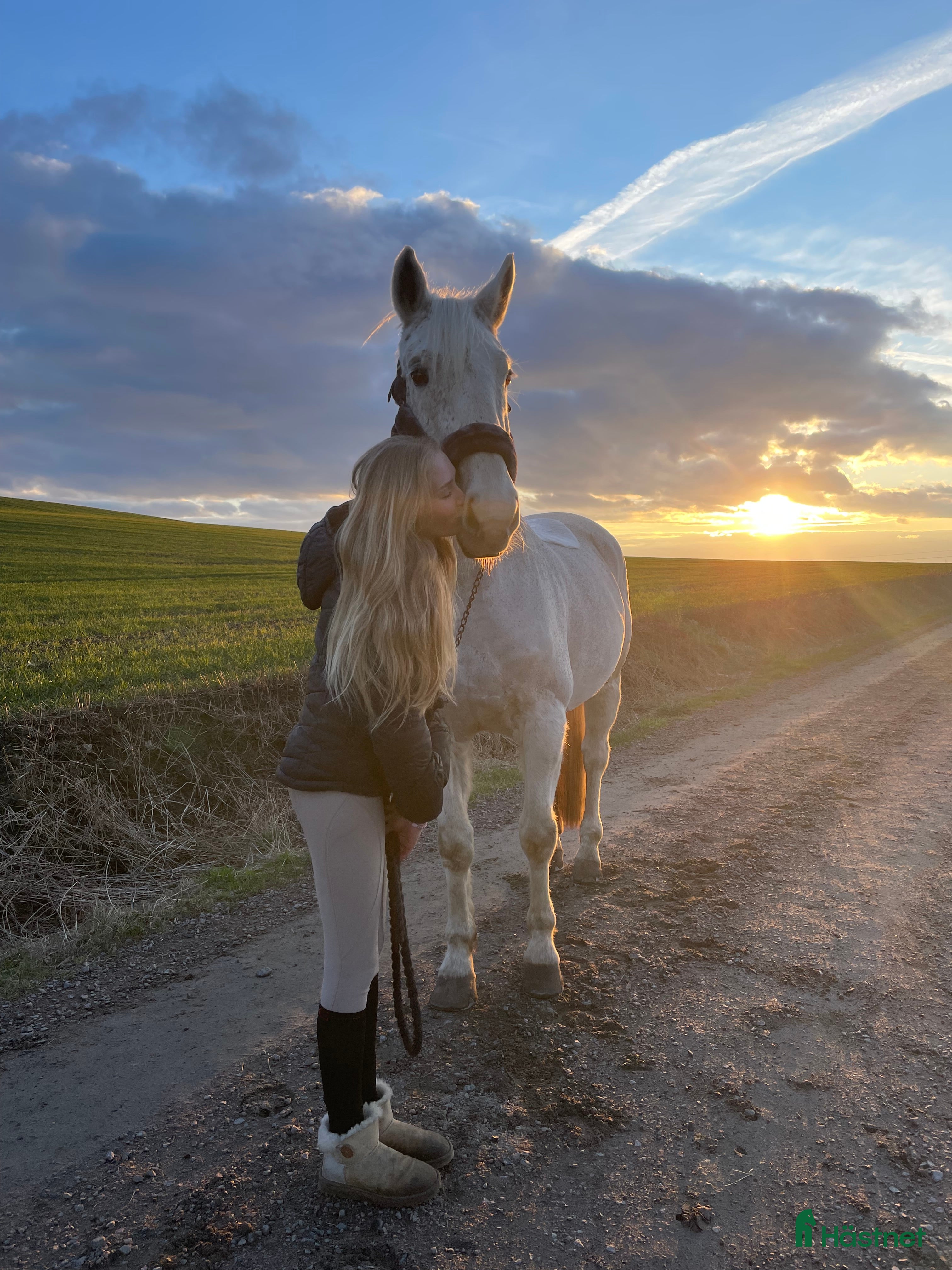  foderhäst Hoppglad bästavän i Helsingborg - Annons 2