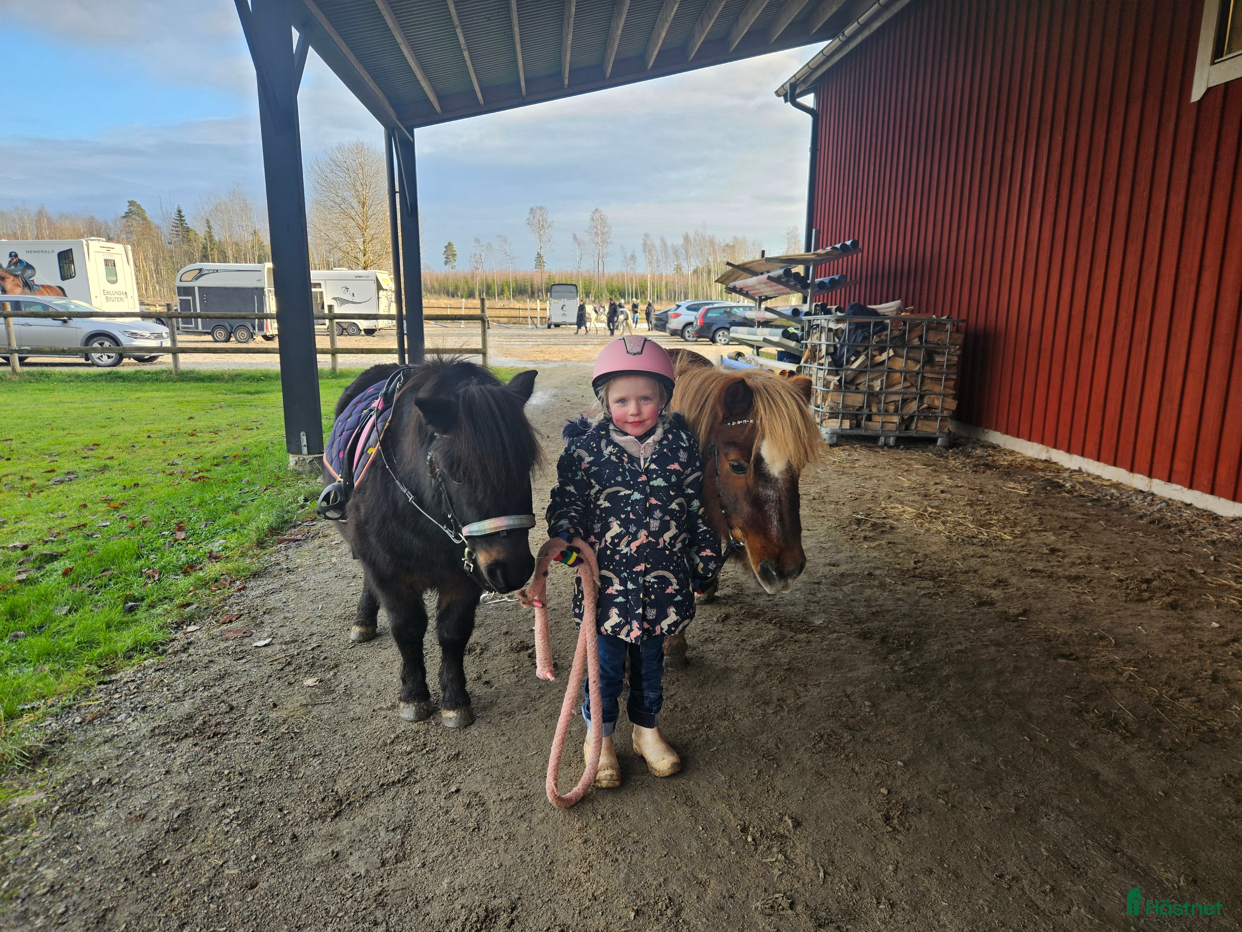  hästar Sockersöt svart ponny - Annons 2