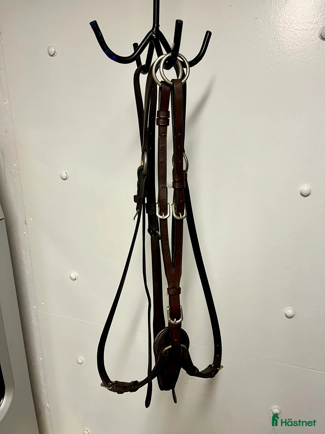 Sadeltillbehör hästutrustning till salu: Hoppgjordar och förbygel i Eskilstuna - Annons 3