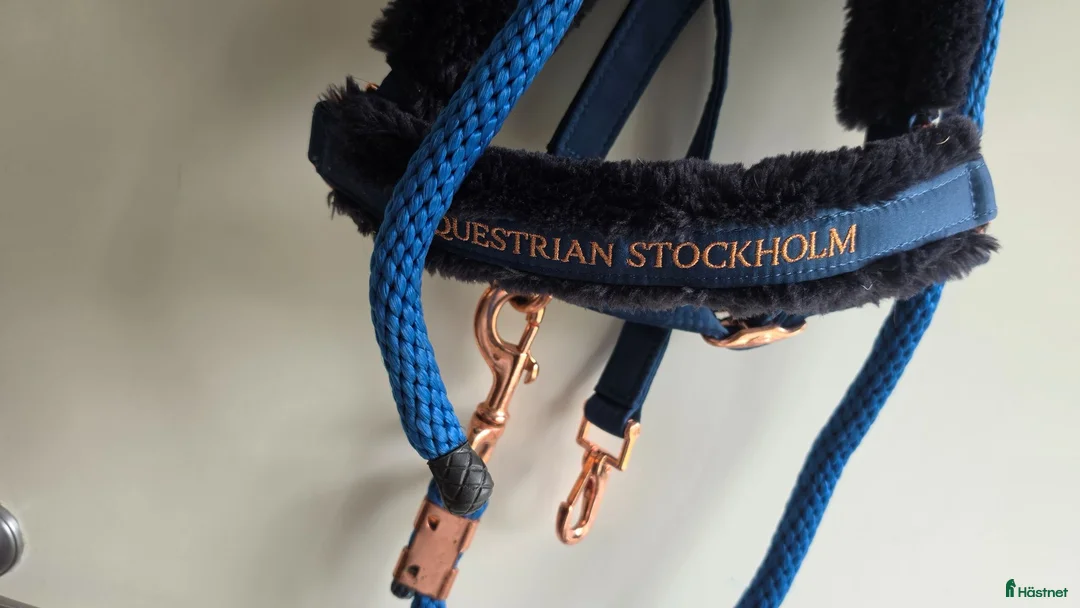 Övrig Hästutrustning hästutrustning till salu: Grimma - Annons 2