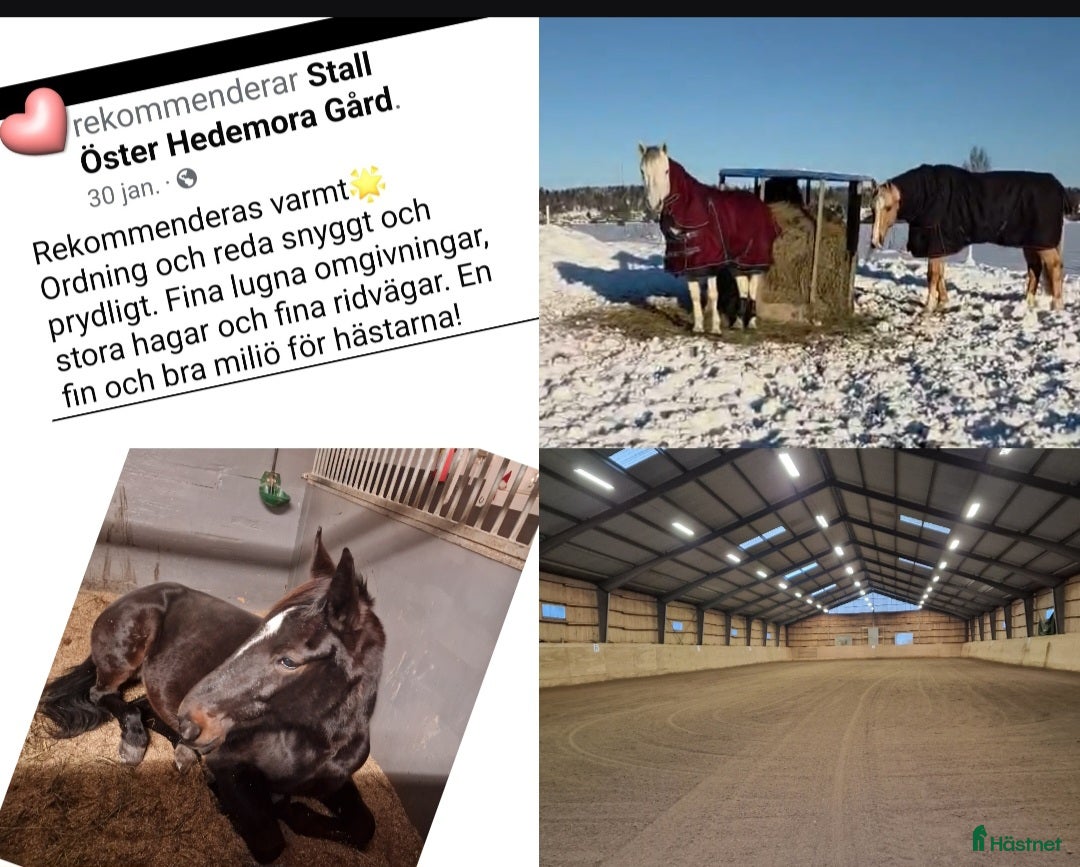  stallplats Välkommen 🐎🌸 i Ärla - Annons 16