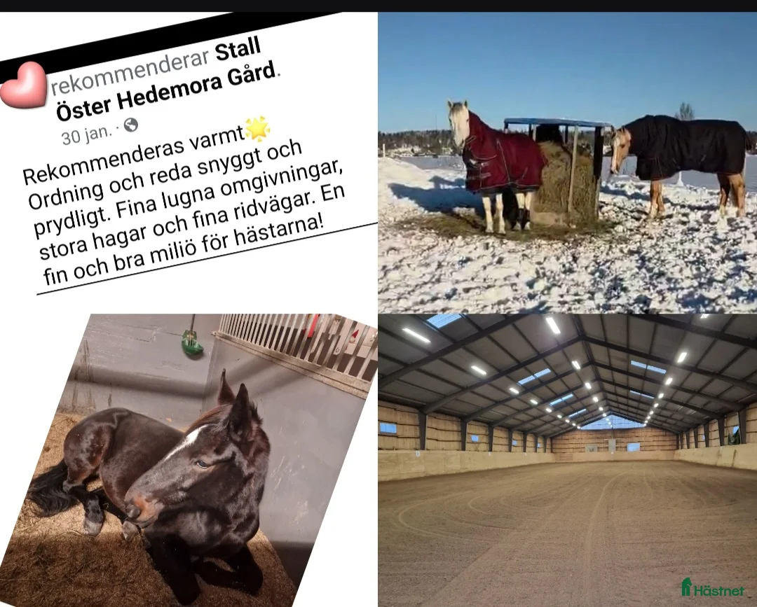  stallplats finnes: Välkommen 🐎🌸 i Ärla - Annons 1