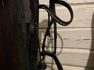 Träns hästutrustning Schockemöhle träns i Bollebygd - Annons 3