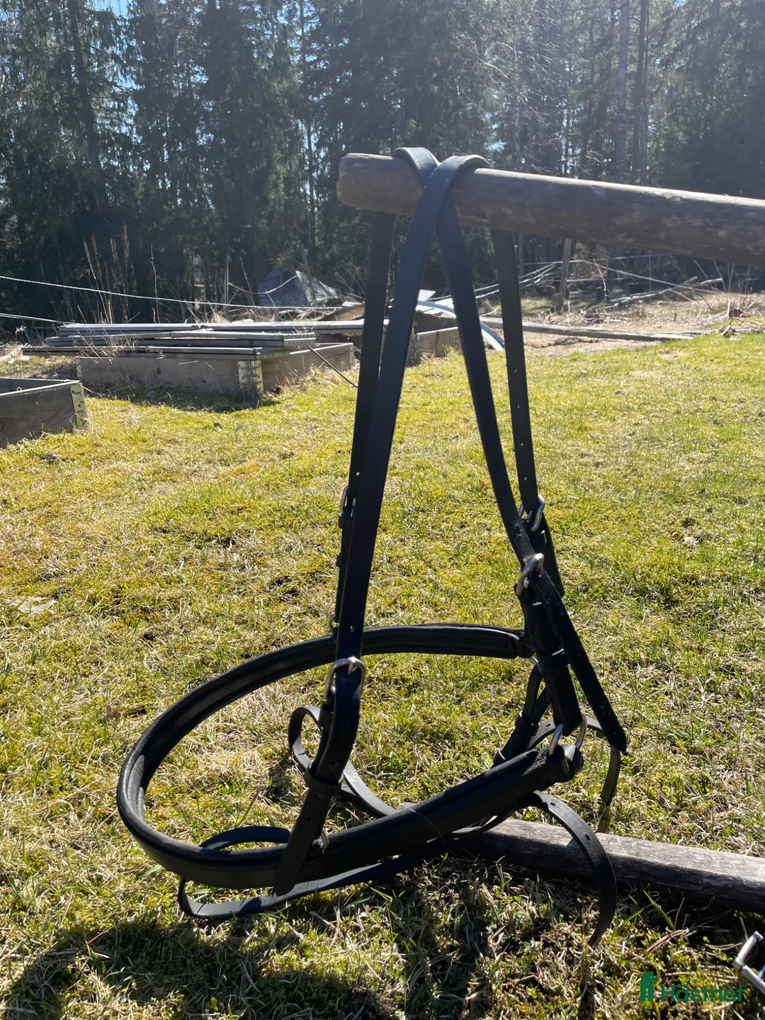 Körselar körning till salu: Idealsele strl Shetland - Annons 3