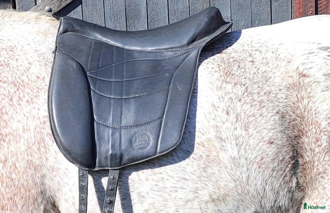 Sadlar hästutrustning till salu: Taur Pad Supreme barbackasadel i Hisings Backa - Annons 2
