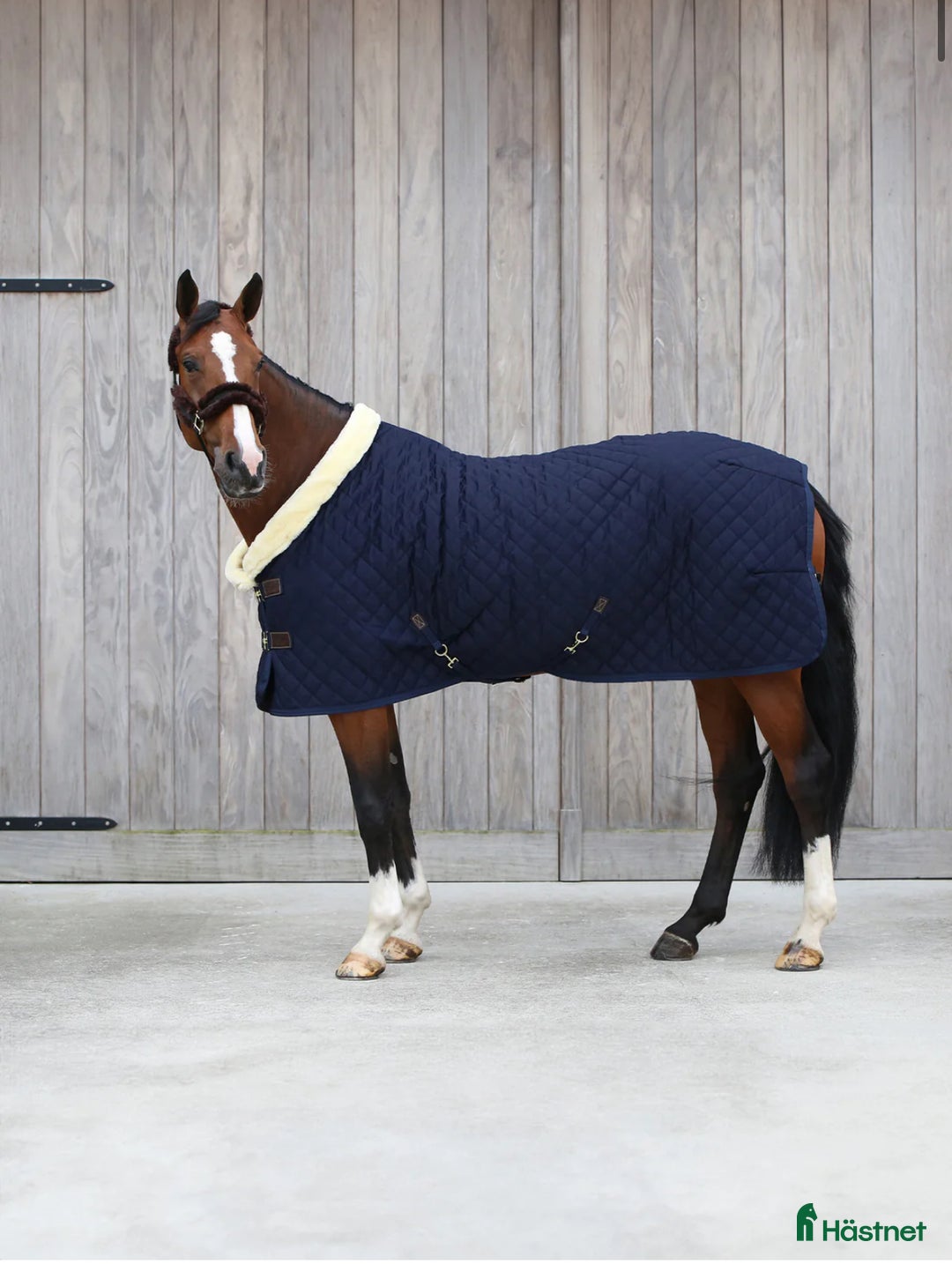 Täcken hästutrustning till salu: Super fint Kentaucky täcke  i Varberg - Annons 1