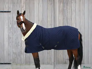 Täcken hästutrustning till salu: Super fint Kentaucky täcke i Varberg - Annons 3