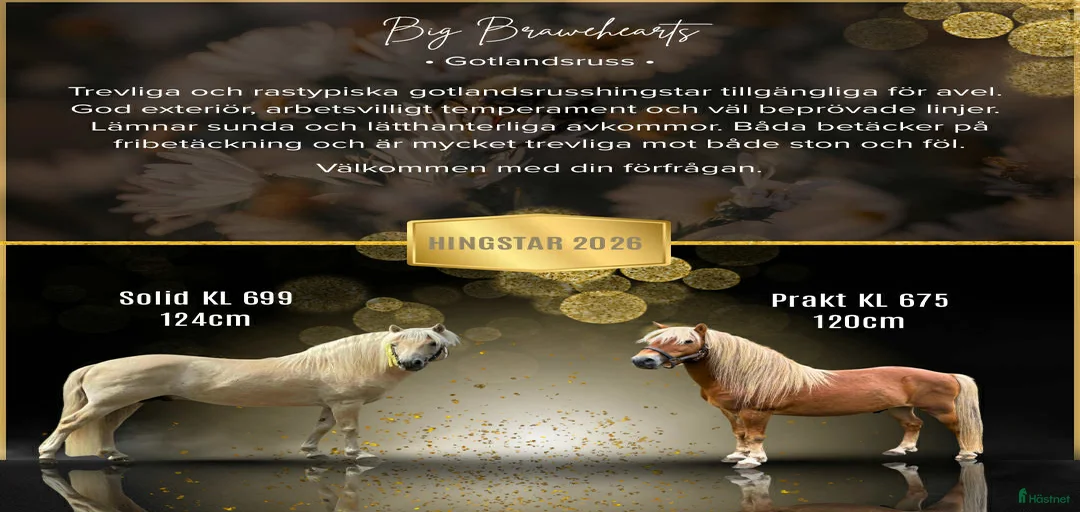 Galleribild {{count}}