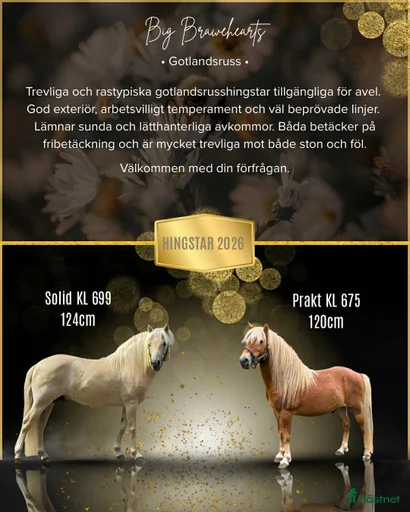 Galleribild {{count}}