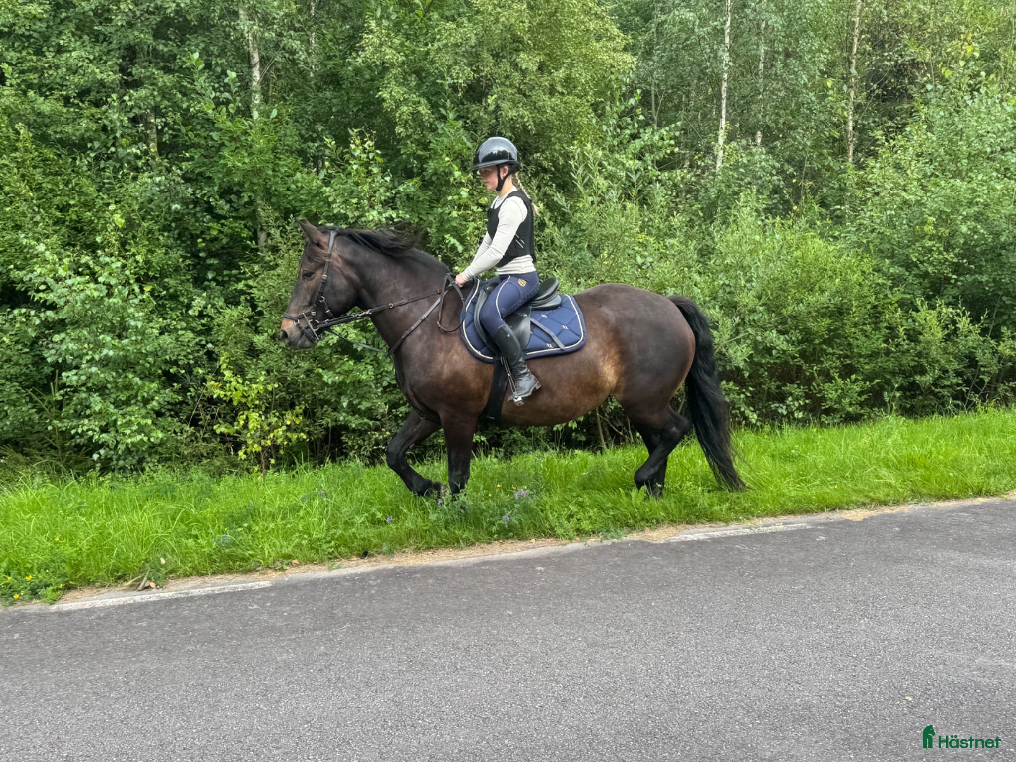  hästar Viktbärande sto - Annons 2