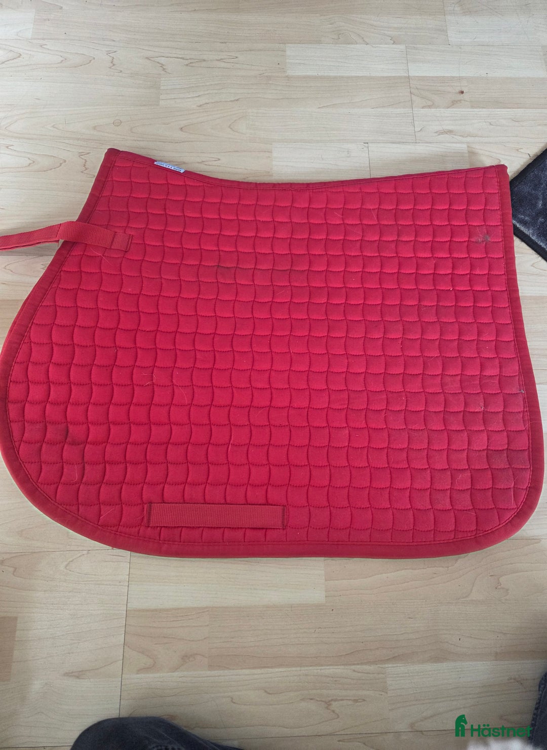 Schabrak & Vojlockar hästutrustning till salu: Häst grejer  i Ulrika - Annons 8