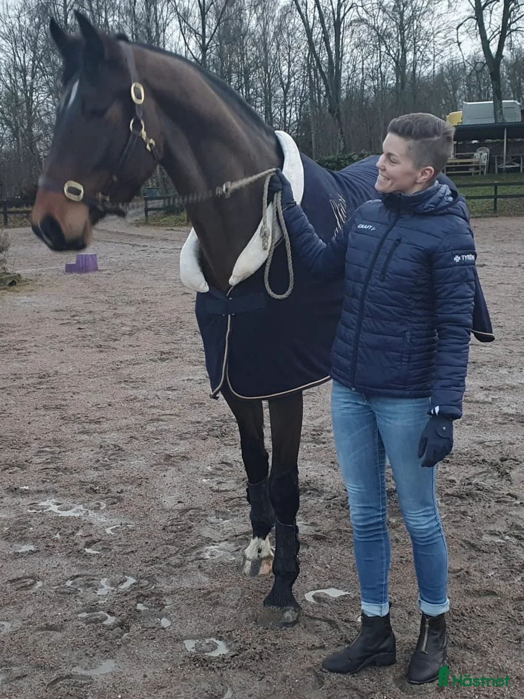 Dressyr hästar till salu: Sto med massor av kapacitet - Annons 3