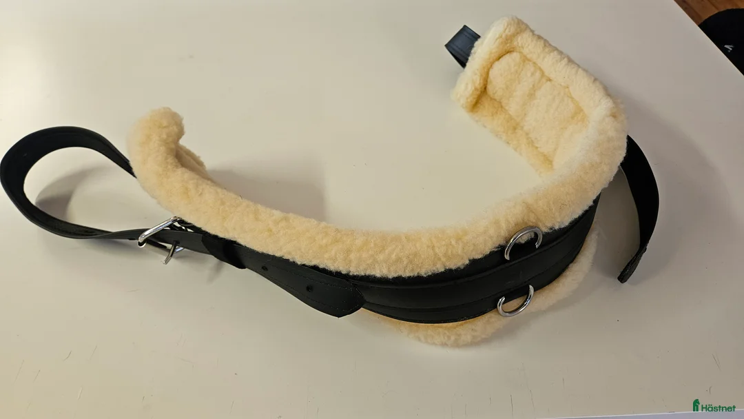 Sadeltillbehör hästutrustning till salu: Westerngjord i Rimbo - Annons 1