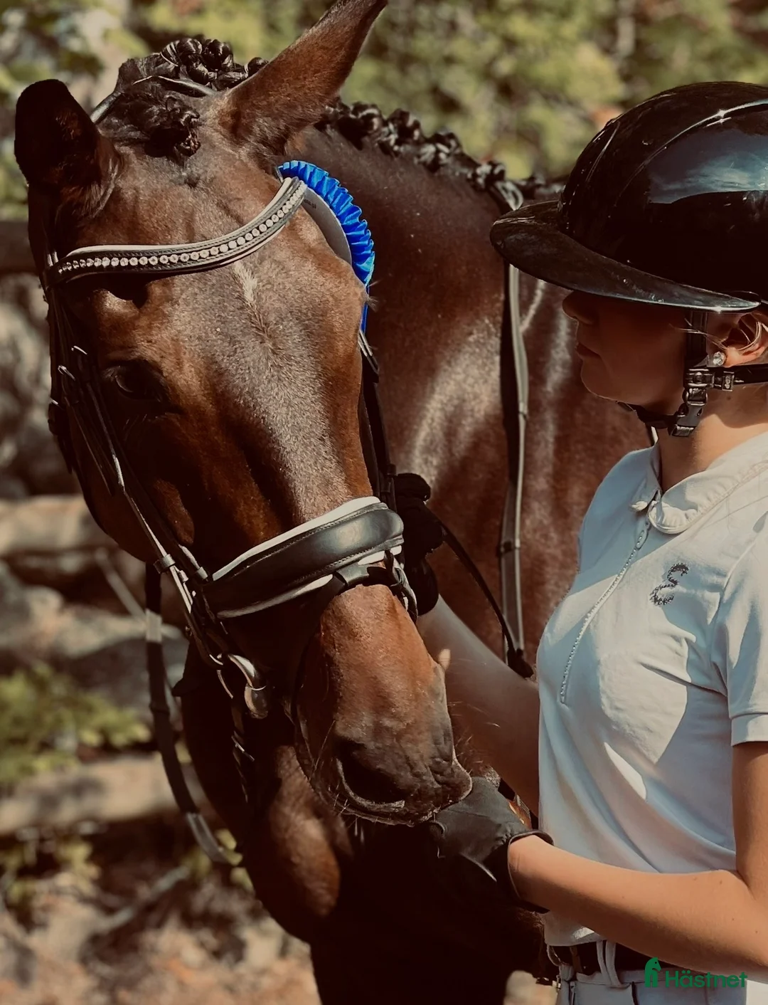 Dressyr hästar till salu: Adelphie - Hästen med ett hjärta av guld - Annons 2