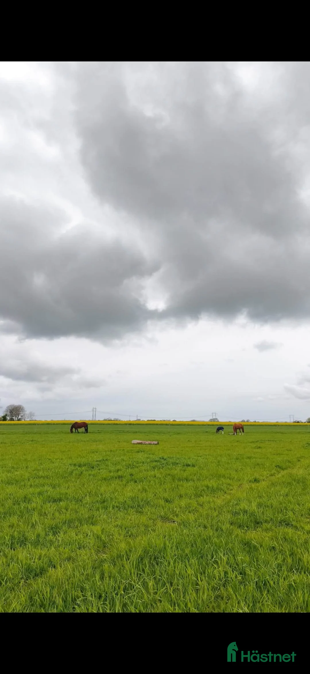  stallplats finnes: Stallplats mellan Lund och Lomma - Annons 2