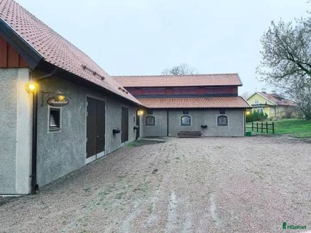  stallplats finnes: Lediga boxar på Strömsholm - Annons 1