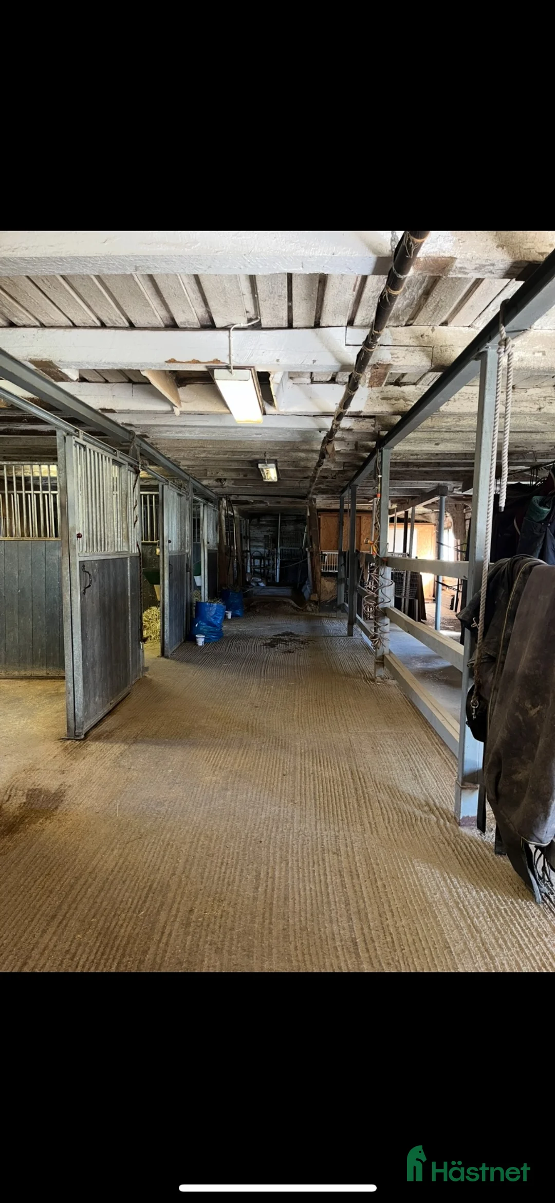  stallplats finnes: 3 stallplatser finnes - Annons 2