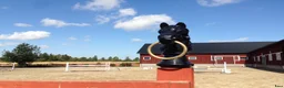  stallplats finnes: Stallplats Tyresta Gård, Enköping - Annons 2