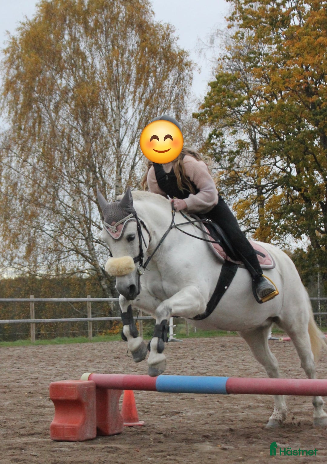 Allround hästar till salu: B ponny  i Åmål - Annons 3