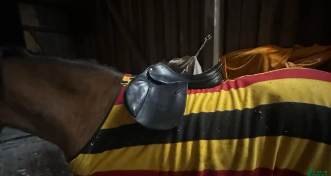 Sadlar hästutrustning till salu: Pessoa pony 16”/MW i Bro - Annons 1