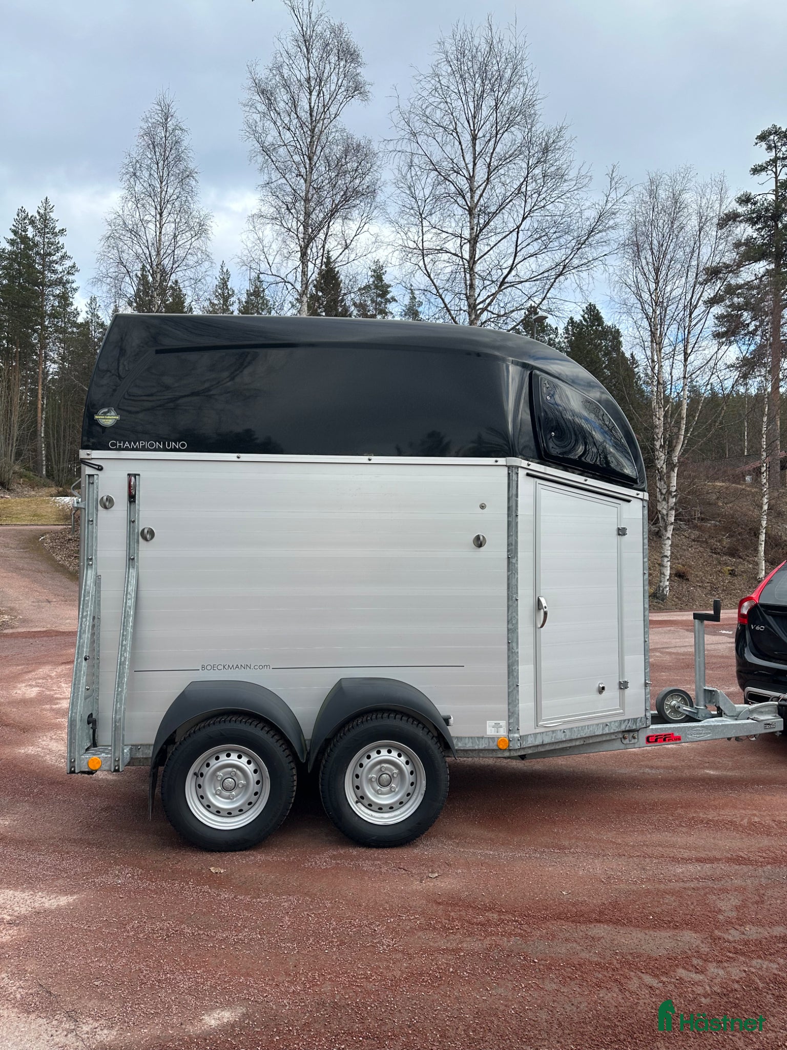 Hästtransporter  fordon & transport till salu: Böckmann Uno Champion 2021 i mycket fint skick - Annons 14