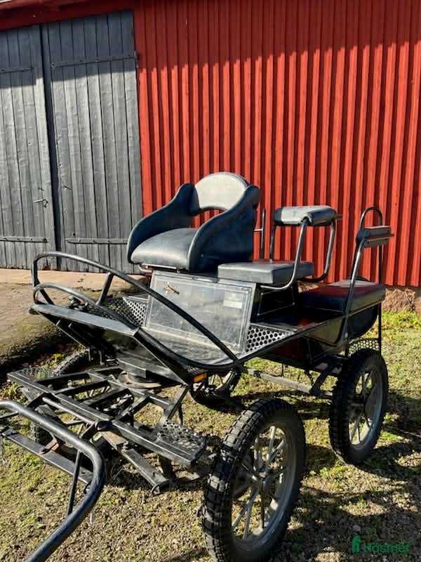 Körvagnar körning till salu: Fyrhulsvagn - Annons 5