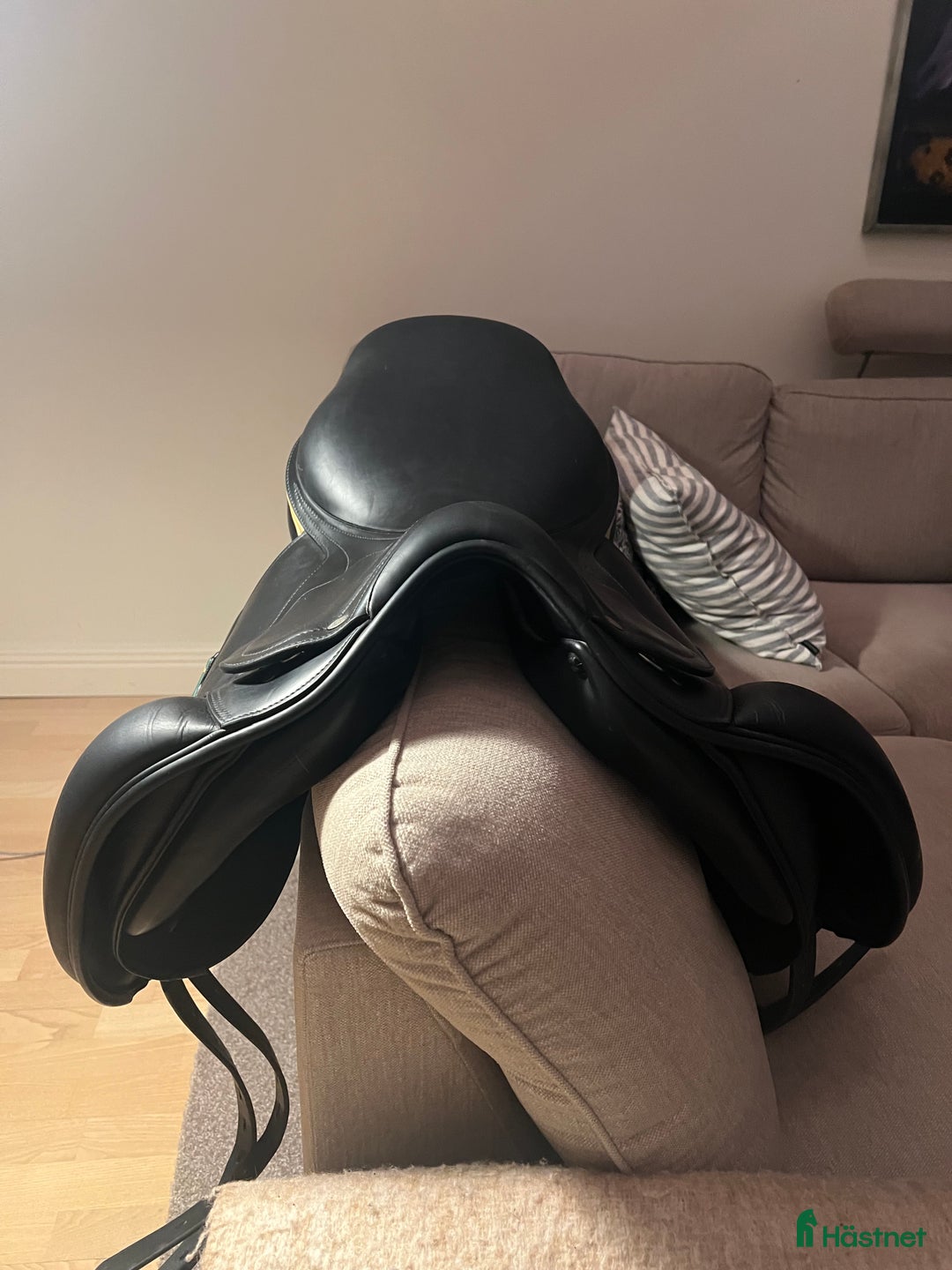 Sadlar hästutrustning till salu: Amerigo DJ Dressyr  i Österskär - Annons 3