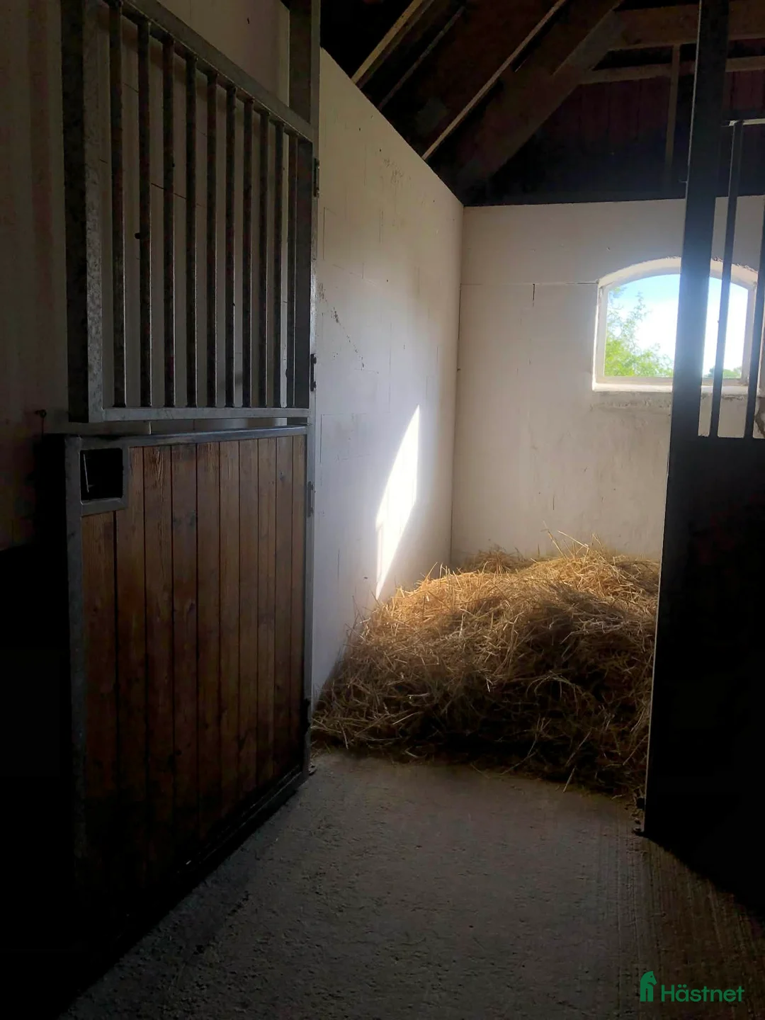  stallplats finnes: Vi har tre boxplatser lediga from 1 mars😊 i Vellinge - Annons 12